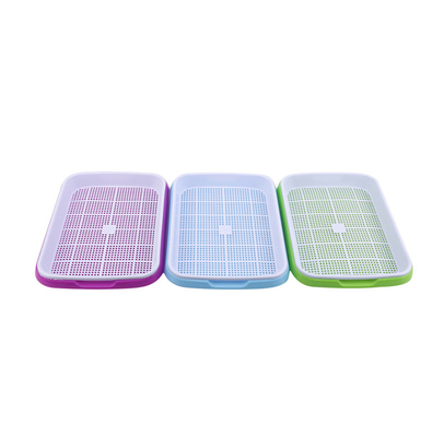 11cm hohes Plastikwasser-wachsender Samen-Sprössling Tray Biodegradable