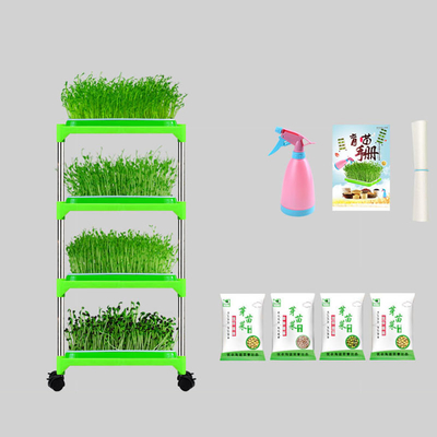 PET überzogener Sämling Tray Stand Mung Bean Sprouting Tray Environment freundlich