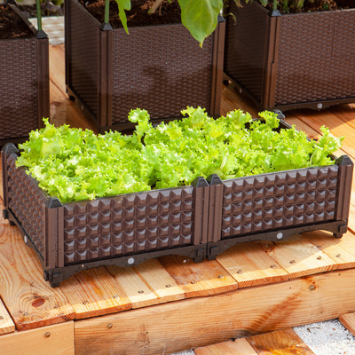 Moderne verdickte Herb Plastic Planter On Wheels-Korrosionsbeständigkeit