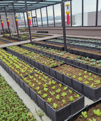 160*40*22cm angehobener Garten-Bett-Pflanzer-Plastikselbst, der Plastikplattform-Pflanzer-Kästen wässert