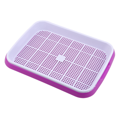 Rich Nutrition Seed Sprout Tray-Platten-stabilisierte kundengebundene UVgröße