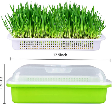 Heller übertragender Samen-Sprössling Tray Seed Germination Box Flexible