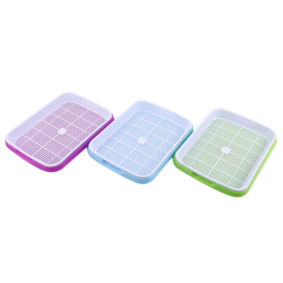 Rechteckige Bearbeitung, die Samen-Sprössling Tray Environmentally Friendly pflanzt