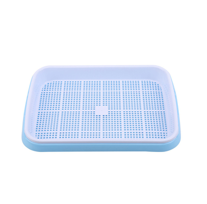 31cm Länge Bean Sprout Growing Tray Two Tray Sprouter No Leakage