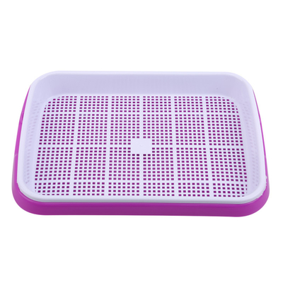 31cm Länge Bean Sprout Growing Tray Two Tray Sprouter No Leakage