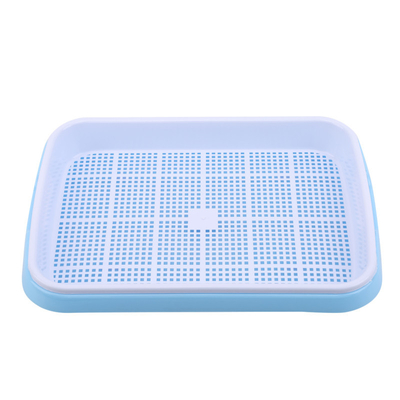 31cm Länge Bean Sprout Growing Tray Two Tray Sprouter No Leakage