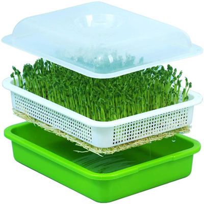 Innenwasser-Bearbeitungs-Polypropylen-Samen-Sprössling Tray Eco Friendly