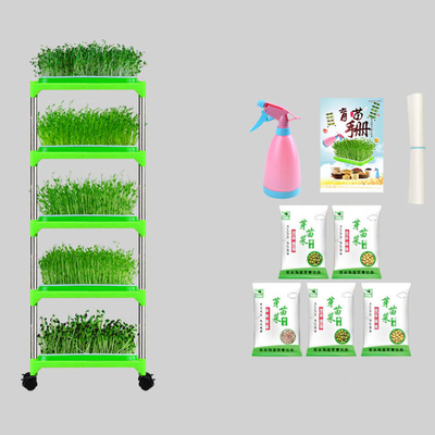 PET überzogener Sämling Tray Stand Mung Bean Sprouting Tray Environment freundlich