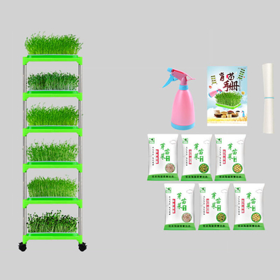 PET überzogener Sämling Tray Stand Mung Bean Sprouting Tray Environment freundlich